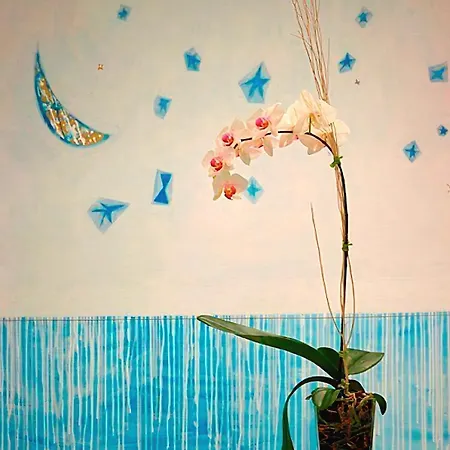 Hotel Chiaraluna Civitanova Marche