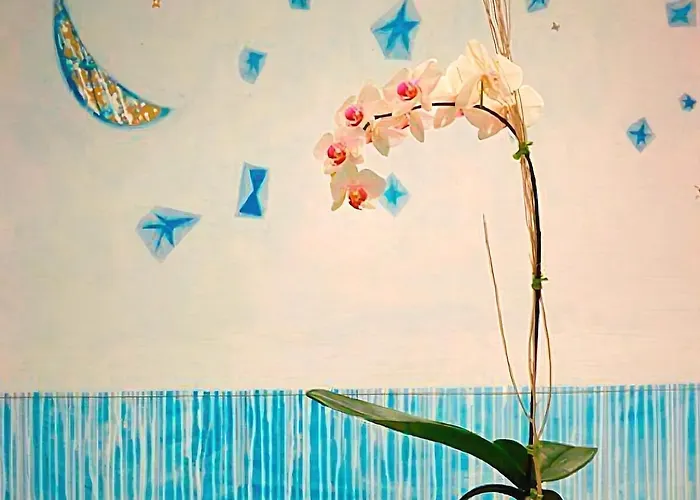 Hotel Chiaraluna Civitanova Marche